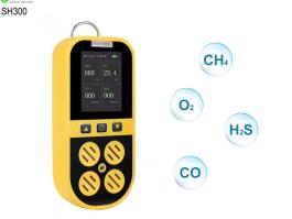 Portable Gas Detector