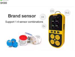 Gas Monitor 4 In 1 Gas Detector