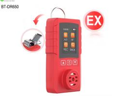 Portable Combustible Gas Detector