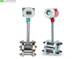 Gas flow meter