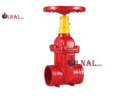 Ductile Iron Rising Stem Gate Valve, Flange Connection, Manual Operation