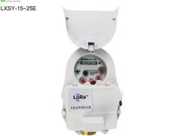 Remote water meter reader