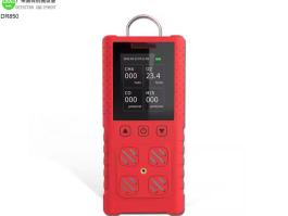 Portable Gas Detector