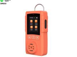 Combustible gas detector​ DR650 Portable