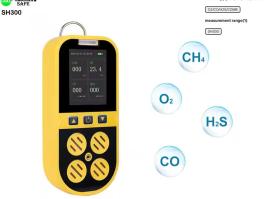 Combustible gas detector​