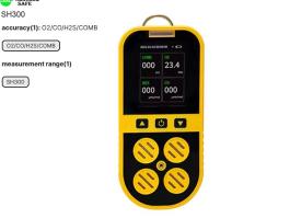 Gas Detector