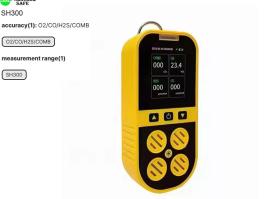 Portable gas leak detector