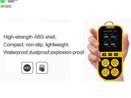 Combustible gas detector​