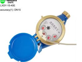 Water meter remote reader