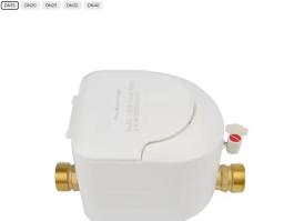 Residential water meter​