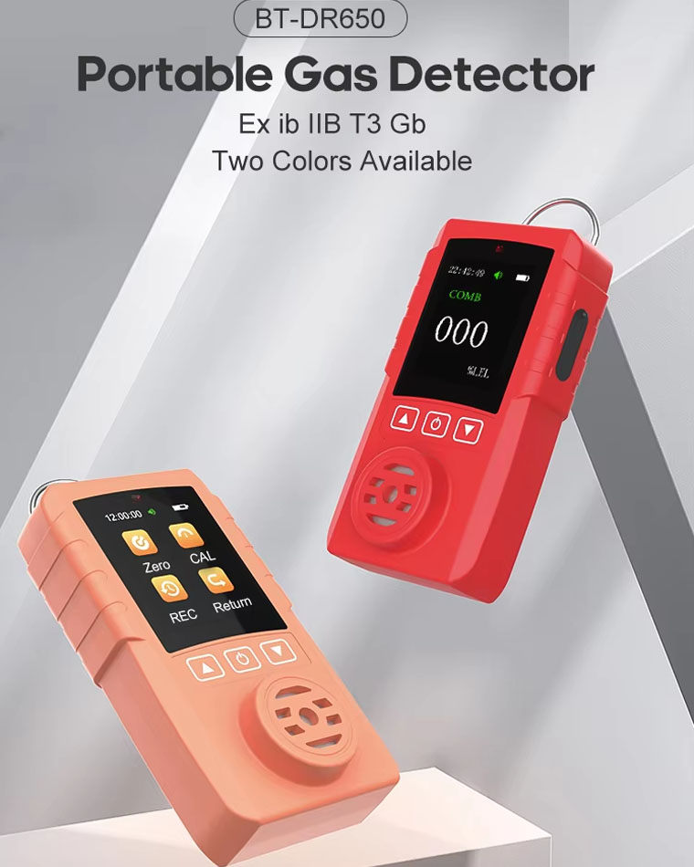 Portable Combustible Gas Detector (6).jpg