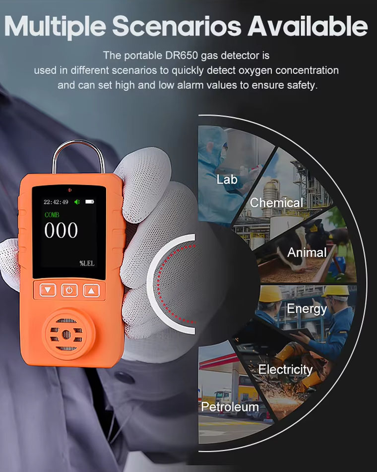 Portable Combustible Gas Detector (5).jpg